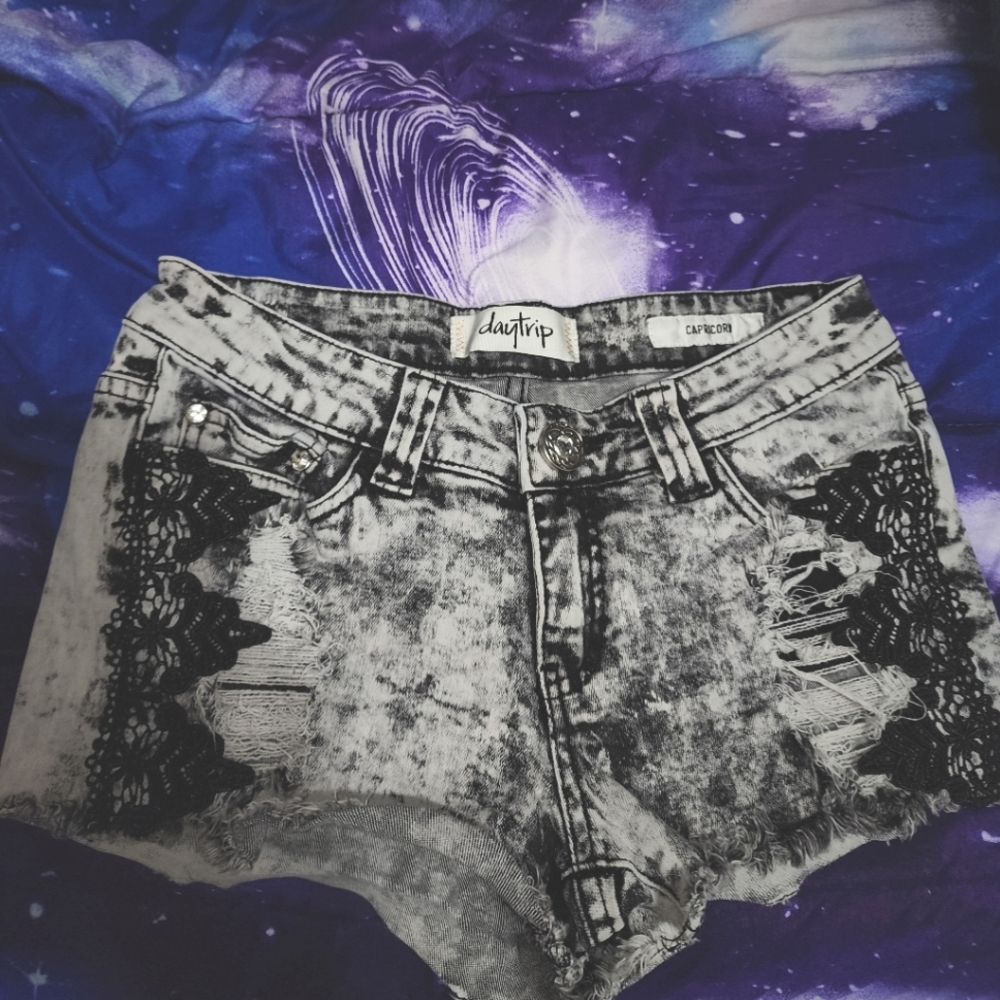 Daytrip shorts